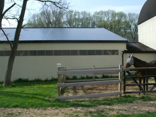 Horse Board - Stall Available - Photo 8