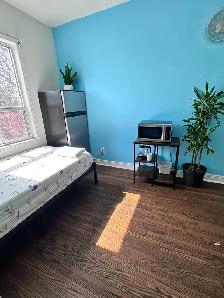 Furnished Room  Daily Fresh Indian Meals   Utilities & Laundry I - Photo 2