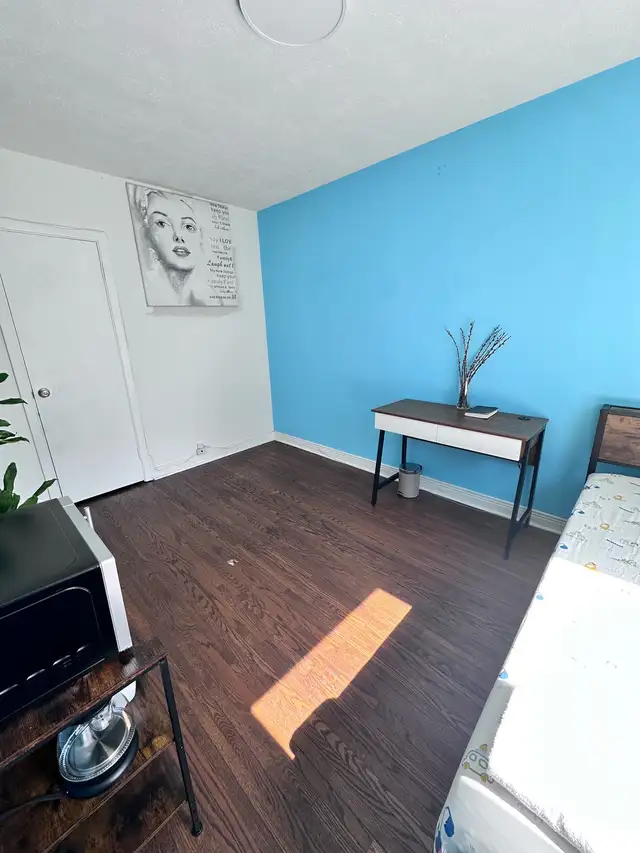 Furnished Room  Daily Fresh Indian Meals   Utilities & Laundry I - Photo 3