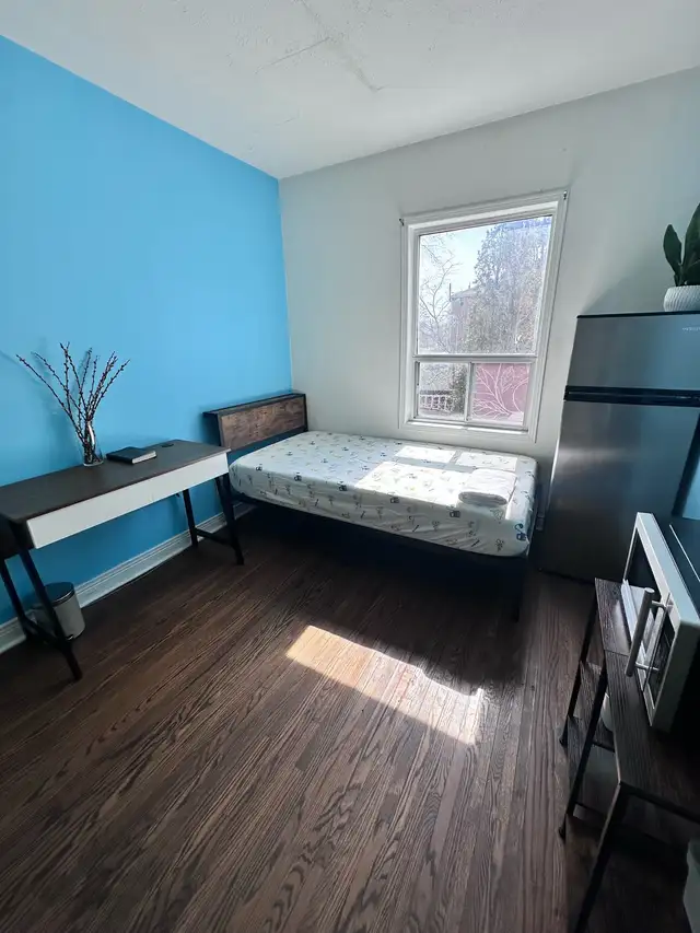 Furnished Room  Daily Fresh Indian Meals   Utilities & Laundry I - Photo 4