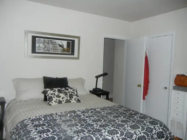 1 Bedroom Zulich Managed Apartment Available May 1st - Photo 5
