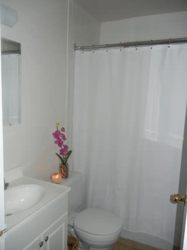 1 Bedroom Zulich Managed Apartment Available May 1st - Photo 6