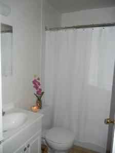 1 Bedroom Zulich Managed Apartment Available May 1st - Photo 6