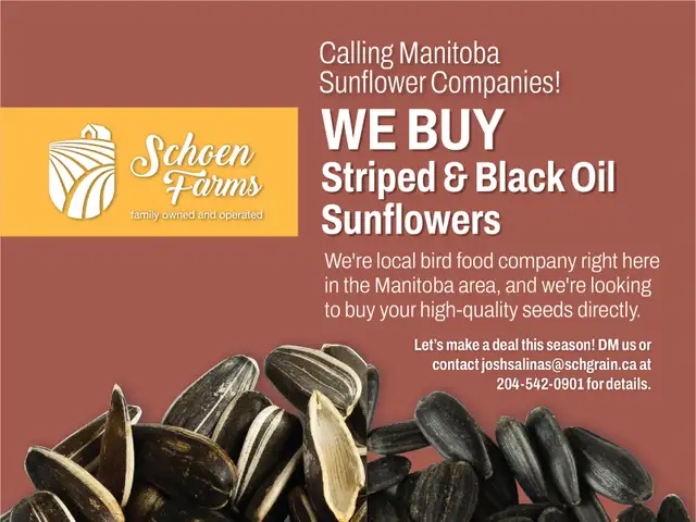 WANTED: Bulk Striped & Black Oil Sunflower Seeds