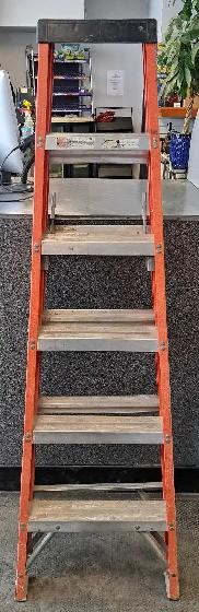 6' 300lb Sturdy Ladder F48606 (32168365)