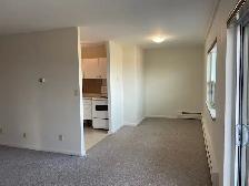 Spacious Apt w Balcony – Secure Building w Elevator - Smoke Free - Photo 5