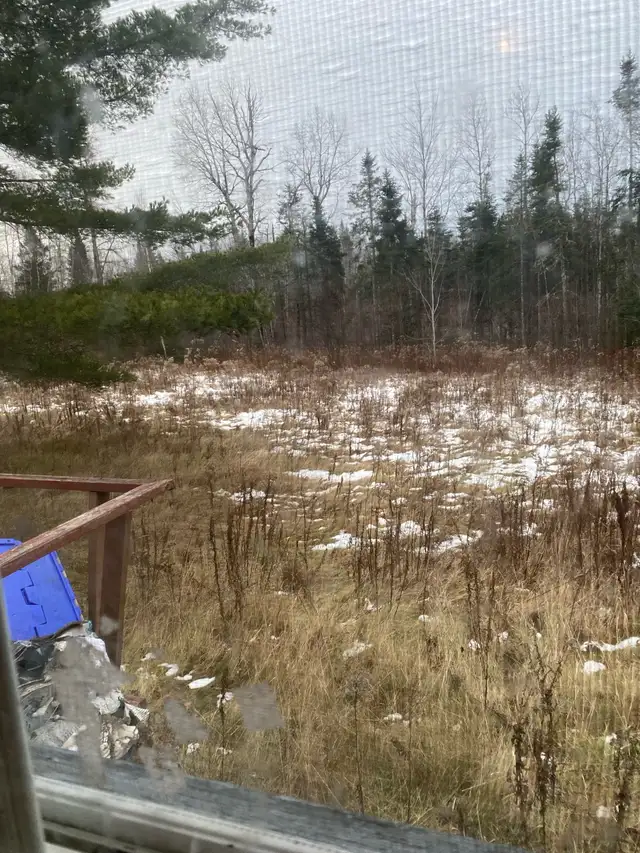House with 2 acres (not haunted) - Photo 10