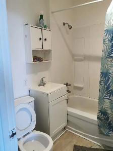 Grand 6 1/2 à louer au Centre-ville de Trois-Rivières - Photo 4