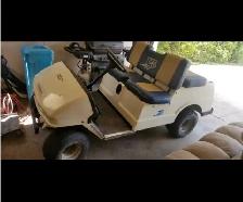 Golf cart