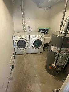 Birchmount and Danforth Basement Apartment Rental - Photo 8