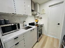 Niagara Falls 2 Homes 1 Lot Perfect GTA Investment - Photo 10