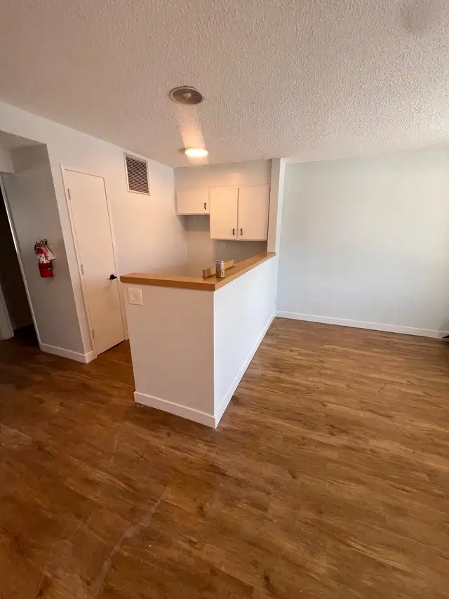 Handy Man Wanted!! - Photo 2