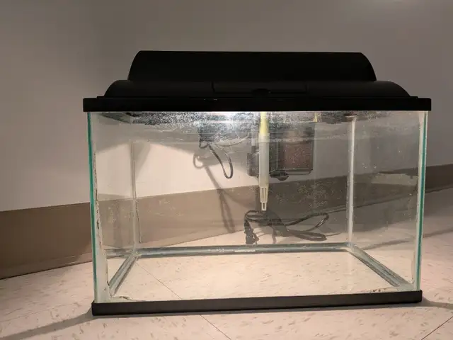 Aquarium 5 gallons avec filtre AquaClear 20