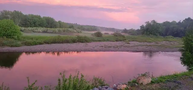 Room available in Special Care Home Level -2 - Photo 4