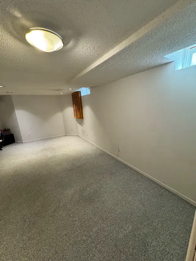 Basement Apartment - Photo 8