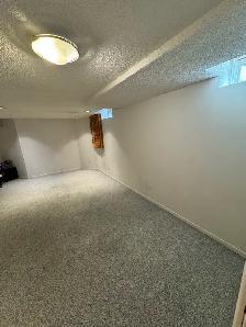 Basement Apartment - Photo 8
