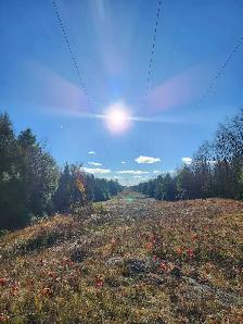 looking for hunters - Photo 2