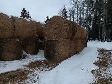 hay for sale