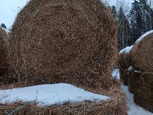 hay for sale - Photo 2