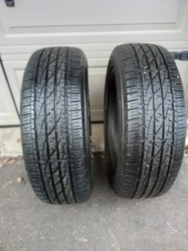 2 tires  245/65/R17 all season.