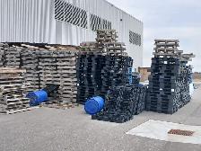 Free Coil pallets and Plastic Pallets
