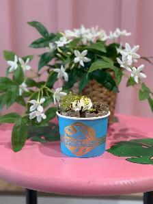 HIRING A TEAM MEMBER