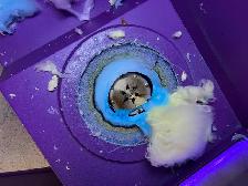 HIRING: Part-Time Cleaning Contractor - Photo 3