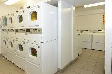 Renovated Bachelor, Queen and Bathurst - ID 3147 - Photo 14