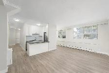 1 Bedroom Apartment for Rent - 115 Dowling Avenue - Photo 11