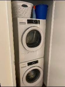 Room for rent in a 2 bed 1 bath - Photo 5