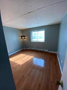 Cozy Main Floor Apartment! ALL-INCLUSIVE! - Photo 4