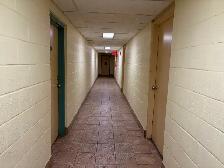 Cozy Main Floor Apartment! ALL-INCLUSIVE! - Photo 5