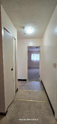 Carma Court #201 - Photo 3