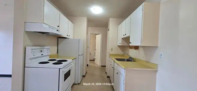 Carma Court #201 - Photo 4