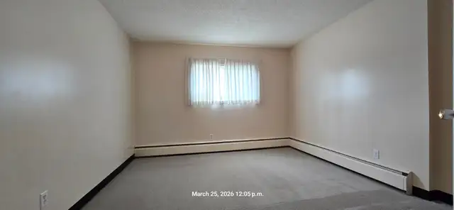 Carma Court #201 - Photo 8
