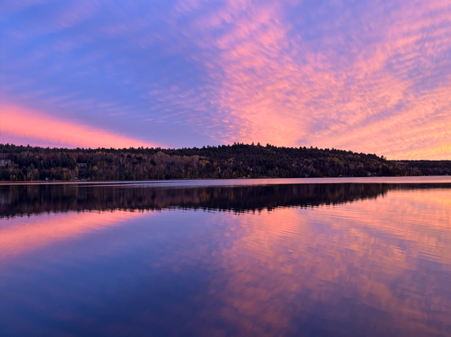 Private Long Lake Waterfront Estate on 2.5 Acres - Photo 2