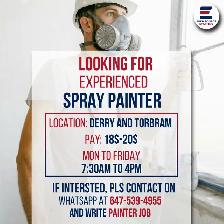 Experienced Spray painter