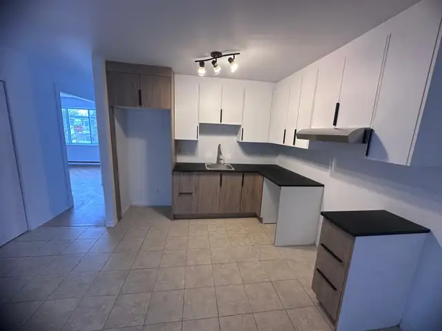 Logement  5 1/2 - Photo 5