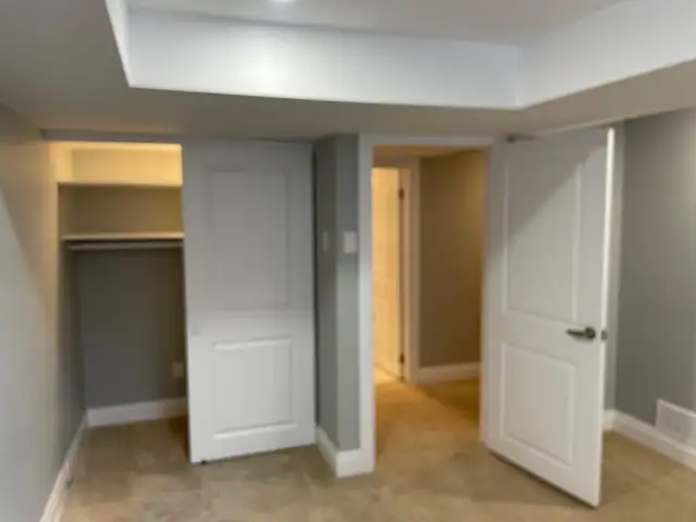 Basement for Rent – Findlay Creek Area - Photo 2