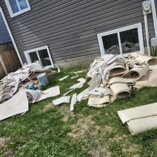 Just Dump That - Junk Removal - Photo 4