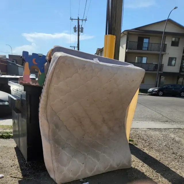 Just Dump That - Junk Removal - Photo 9