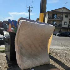 Just Dump That - Junk Removal - Photo 9