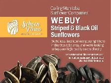 WANTED: Bulk Striped & Black Oil Sunflower Seeds
