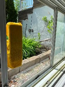 Femme de ménage - Photo 2