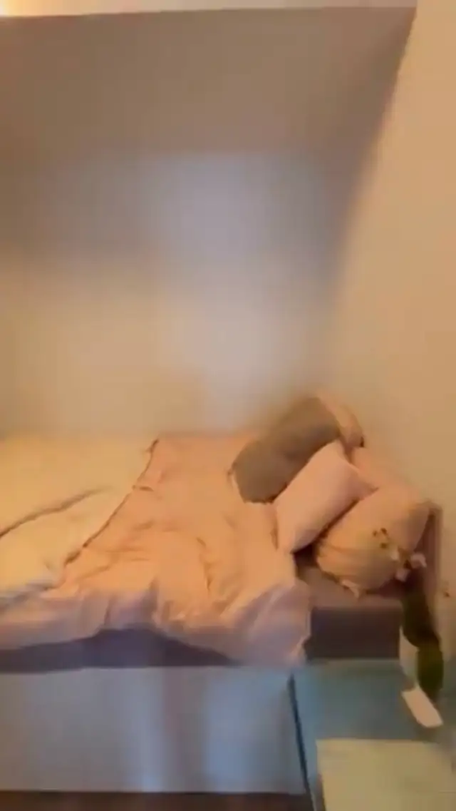 Summer Sublet Available (May - August) - Photo 4