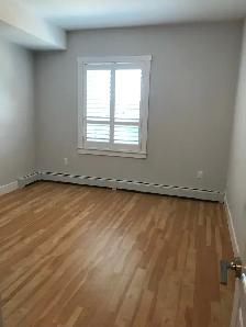 Two Bedroom   Den - Two Bathroom - Available May 1st - Photo 6