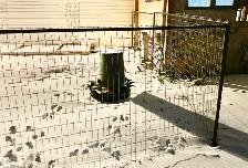 Dog or pet kennel - Photo 2