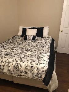 1 Bedroom Furnished Apartment - Photo 2