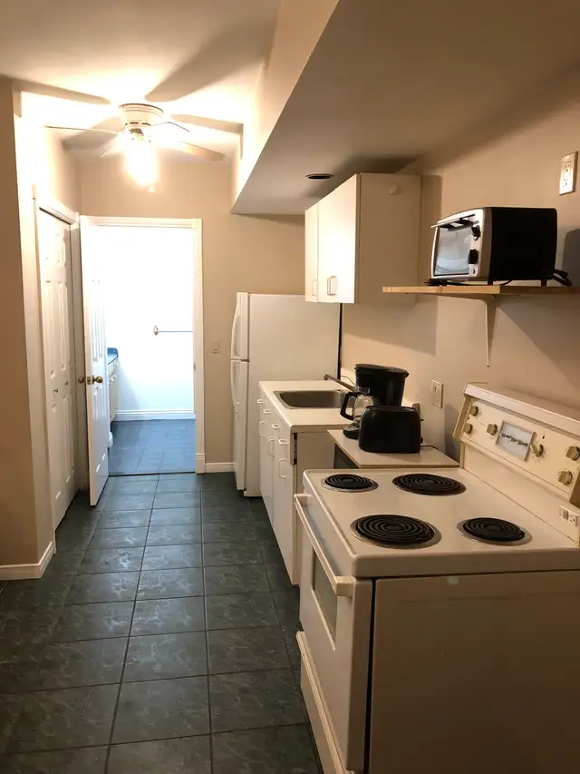 1 Bedroom Furnished Apartment - Photo 3