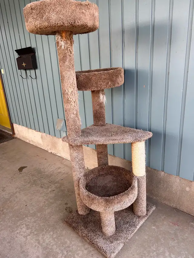 Free Scratching Post